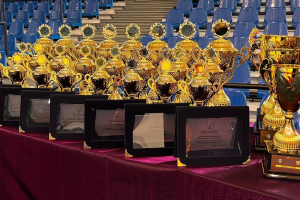 Mulțumiri speciale pentru sprijinul acordat Gimnasticii Ritmice Românești!